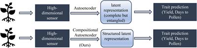 Disentangling genotype and environment specific latent features for improved trait prediction using a compositional autoencoder